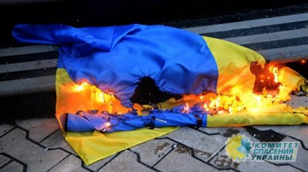 В Львовской области мужчина сжег два флага Украины
