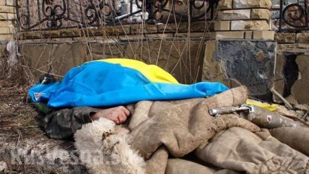 Жестокие кадры: каратель ВСУ уничтожен при прорыве в Донецк (ФОТО 18+)