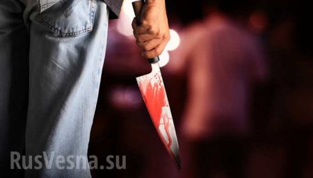 Онижедети: во Львове цыган резали школьники