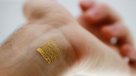 Шведы вирусно имплантируют микрочипы себе под кожу