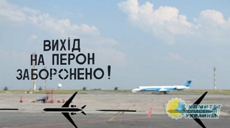 Олейник: Власти Украины создали авиапробку