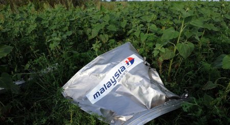 Минюст: ответственность за крушение MH17 несет высшее руководство России