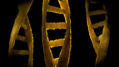 Ученые: «Прыгающие гены» паразиты – важный фактор эволюции