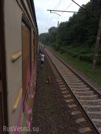 Под Киевом банда подростков остановила и разгромила электричку, а пассажиров травили слезоточивым газом (ФОТО)