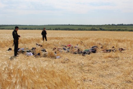 Рейдеры и вышибалы оккупируют украинских фермеров