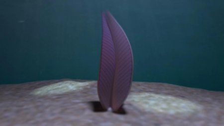 Учёные: Окаменелый лист, которому 570 миллионов лет, оказался животным