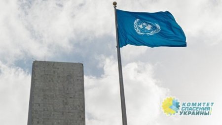 В ООН назвали число нуждающихся в гуманитарной помощи на востоке Украины