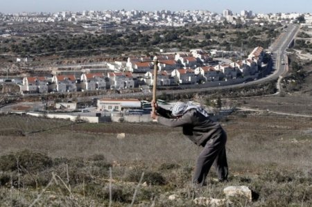 Израиль впервые признал палестинское поселение