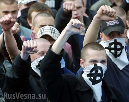 Фашистские университеты: Как пропагандируют неонацизм на Кубани (ФОТО)