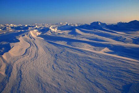 Ученые заявили, что жизнь в Арктике улучшает иммунитет и умственные способности