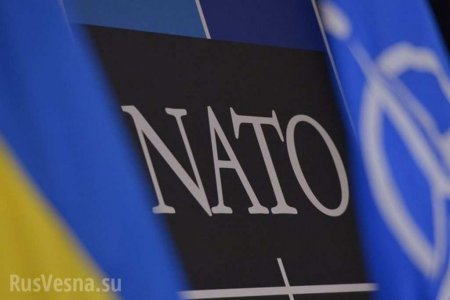 И на порог не пустили: заседание НАТО прошло без Украины