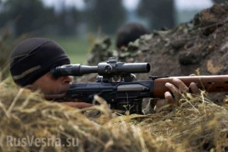 Украинский снайпер открыл огонь по мирным жителям ДНР