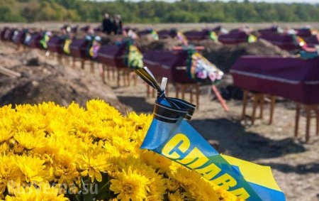 Украина подсчитывает уничтоженных за октябрь карателей (ФОТО, ВИДЕО)