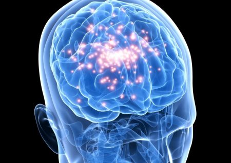 Учёные приблизились к возможности лечения эпилепсии