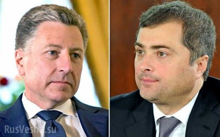 Встреча Суркова и Волкера: о чём собираются беседовать представители России и США?