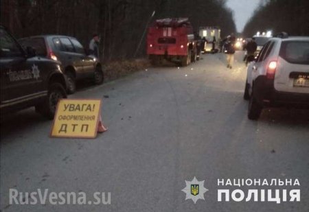 Под Чернобылем лось «атаковал» автомобиль с иностранцами (ФОТО)