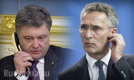 СРОЧНО: Порошенко обратился к Генсеку НАТО