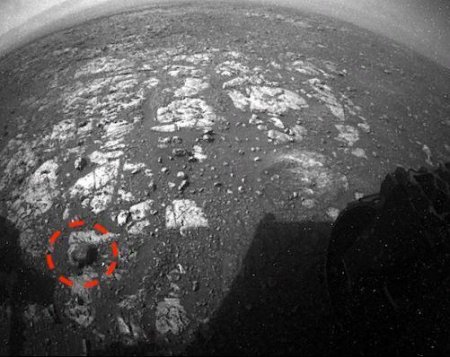 На Марсе найдено древнее ископаемое в виде улитки
