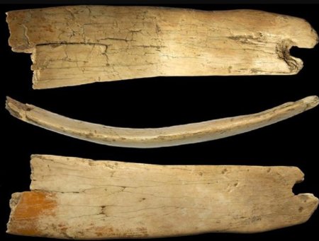 Тиара из костей мамонта возрастом 50 тысяч лет обнаружена в Сибири