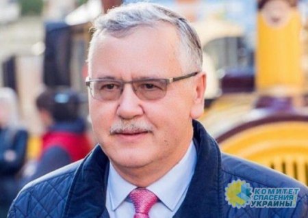 Кандидата в президенты Украины Гриценко вызвали на допрос в СБУ