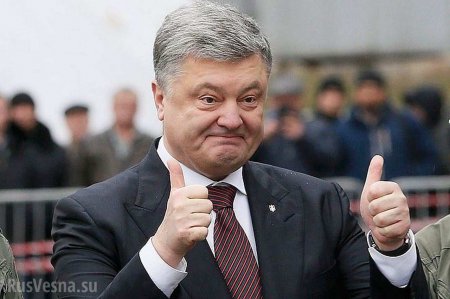 «Нет цели, занимаемся непонятным»: советник Порошенко подал в отставку (ФОТО, ВИДЕО)