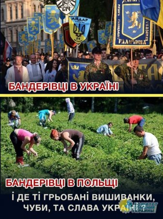 Азаров: О возможностях Украины