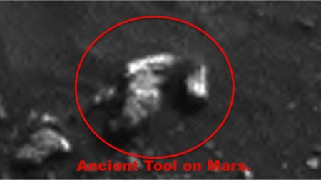 «На Марсе найдет садовый гном»: Обнародованы доказательства сходства Земли с «марсианской жизнью»
