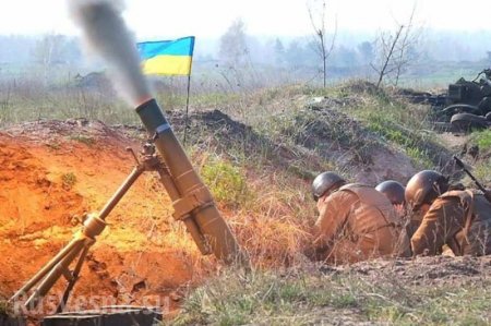 Военкоры Армии ДНР попали под обстрел на юге Республики (ВИДЕО)