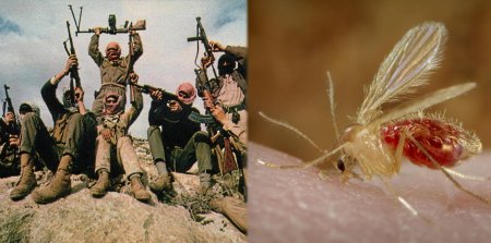 Во всём виноваты учёные: Террористы смогут распространять смертельные вирусы с помощью комаров