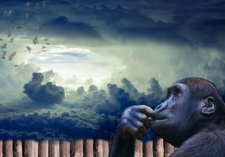 No Homo Sapiens: Первооткрыватель Нибиру опроверг теорию Дарвина