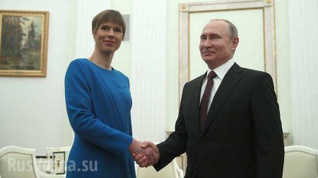 Президент Эстонии отвергла критику за встречу с Путиным