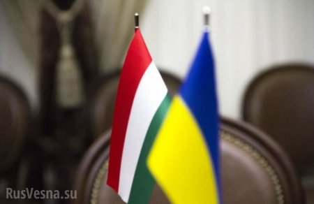 Венгрия раскритиковала украинский закон о языке