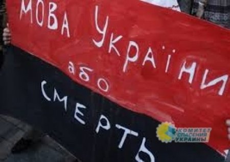 Ренат Кузьмин: «Языковым законом» Порошенко отомстил украинцам за проигранные выборы