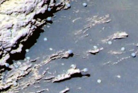 Апокалипсис на Марсе уничтожил не всех: Выжившая после атаки Нибиру белка попала на снимок NASA