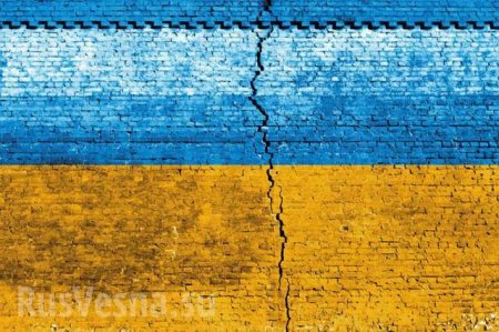 Наблюдатель ОБСЕ шокировал Европу признаниями о предпосылках развала Украины