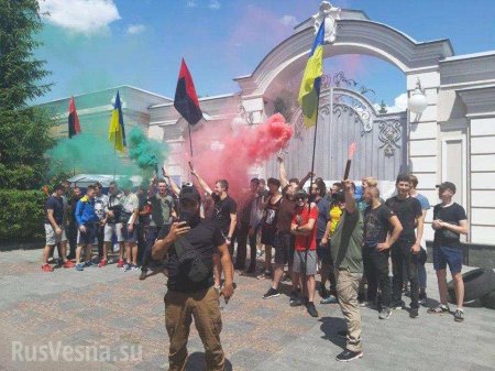 Неонацисты пришли к Порошенко: имение экс-президента забросали файерами (ФОТО, ВИДЕО)