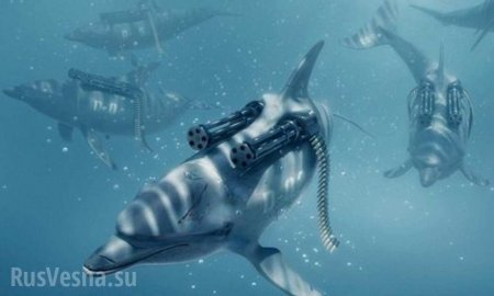 У берегов Крыма обнаружен дельфин-мутант (ФОТО)