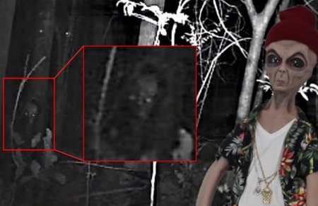 «Нибируанский флекс»: Очевидцы засняли пришельца, маскировавшегося в лесу