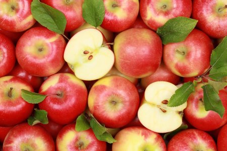 Не только запреты: как в России изживают польские яблоки