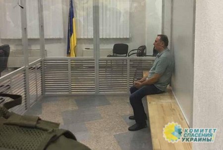 Мураев зарегистрировал на сайте президента петицию об освобождении из-под стражи Александа Ефремова