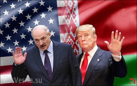 Курс на США: Лукашенко сделал шокирующее обращение к Трампу после встречи с Путиным