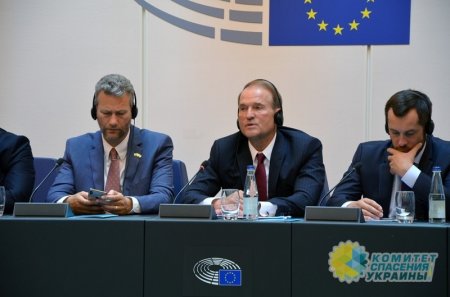 Медведчук представил в Европарламенте план по возвращению Донбасса Украине в виде автономии