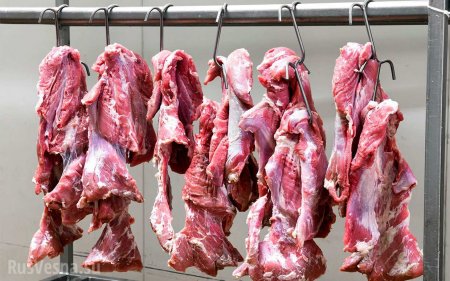 Человечество для выживания должно отказаться от мяса, — ООН