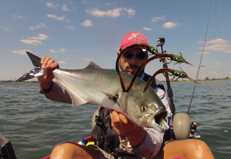 Ногожоры с Нибиру! Плотоядные рыбы «искромсали» туристов в Испании