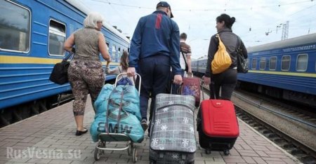 Обессиленные украинцы ищут убежище в США: что скажет Трамп?