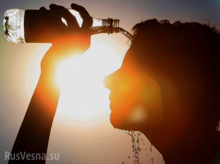 Россиянам пообещали 30-градусную жару