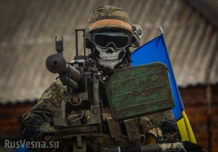 Боевиков «Азова» срочно выводят из зоны карательной операции (ВИДЕО)