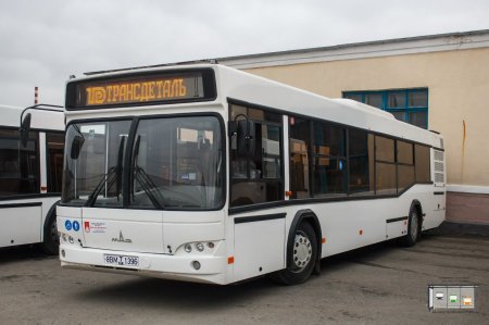 Автобусы МАЗ пройдут испытания в Брянске
