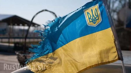«Ваш флаг убивал моих земляков, вы не дома», — отповедь офицера ЛНР украинской пропагандистке (ВИДЕО)