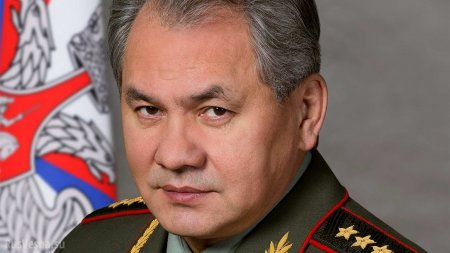 Сергей Шойгу рассказал, как была спасена Армия России (ФОТО)